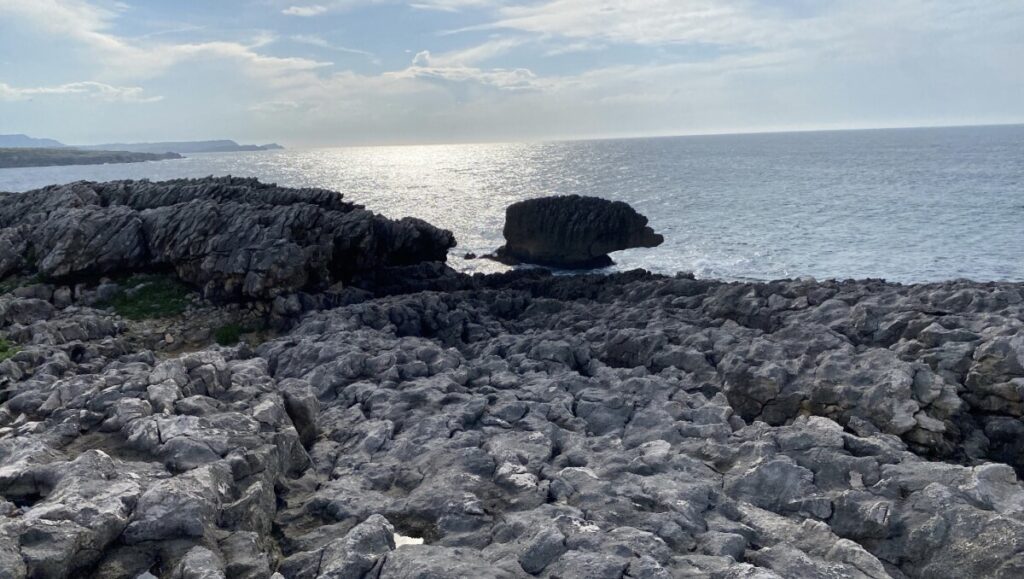 Escenarios de pesca en la costa -EC